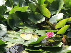 -北海道厅旧本厅舍(旧本庁舎)