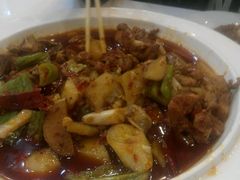 -西域胡氏大盘鸡(谈固店)