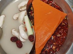 -蜀九香火锅(彩虹店)