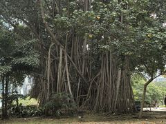 -吉隆坡国油双峰塔