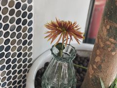 -Radar Coffee(思南路店)
