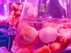 -中环花鸟鱼虫市场