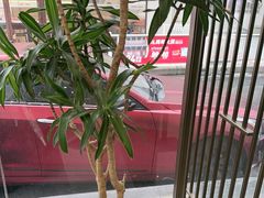 -Zsmart智尚酒店(苏州拙政园平江路店)