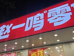 -赵一鸣零食(南京上元大街店)