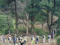 -午潮山国家森林公园