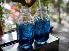 -蝶豆花蓝面条