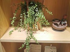 -左悦·艾灸调理·推拿按摩·精油SPA(卓悦汇店)