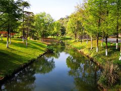 -绍兴镜湖国家城市湿地公园