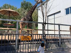 -水上乐园·欢乐世界