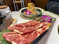 特选牛仔骨-千寻山野烤肉(中关村店)