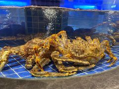 -渔歌雅宴·渔鲜烤鸭(北京西站店)