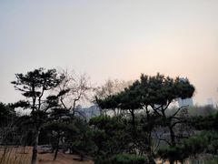 -迎泽公园