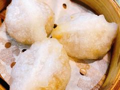 潮州蒸粉果-添运来(茶园奥园广场店)