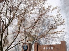 门面-朵云书院·广富林店
