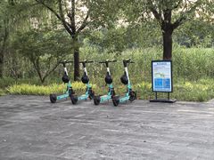 -昆山城市生态森林公园