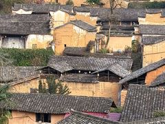 -杨家堂村