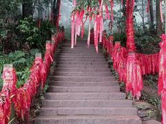 -青城山