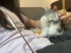 -猫爪屋猫咖(乐汇城店)