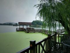 -上海市保健医疗中心(华东疗养院)