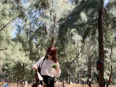 -六鳌翡翠湾滨海度假景区