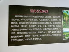 -嘉荫恐龙国家地质公园