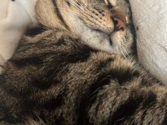 -霖公馆SPA·足道(普善路店)