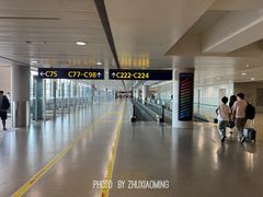 -上海浦东国际机场-T2航站楼
