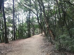 -灵岩山风景区