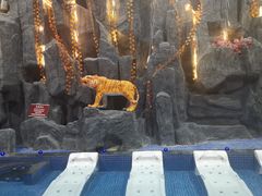 -兴芮温泉度假区