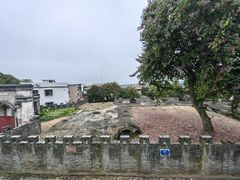 -长洲岛