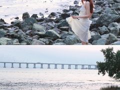 -宝安西湾红树林湿地公园