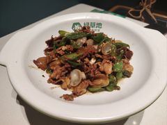 -绿草地·湘菜(7mall店)