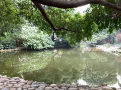 -成都市活水公园