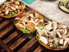 -易门野生菌府·菌海森林(月牙潭公园店)