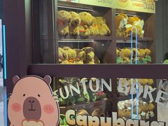 -首开·龙湖成都西宸天街