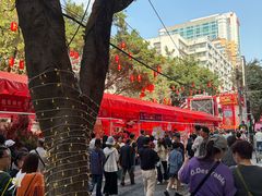 -越秀西湖花市(广州城市广场花卉店)