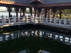 -惠州西湖丰渚园