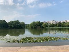-新江湾城公园