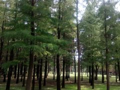 -蜀冈西峰生态公园