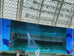 -环球中心海洋乐园