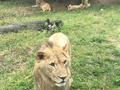 -西安秦岭野生动物园