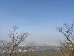 -紫金山山顶公园