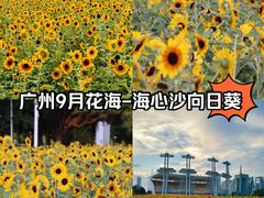 -海心沙(地铁站)