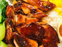 蜜汁鸡翅饭-肥小福·烧鹅专门店(环宇荟店)