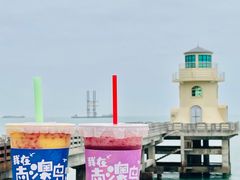 莲雾葡萄柠檬-南澳岛打卡果汁冰公司