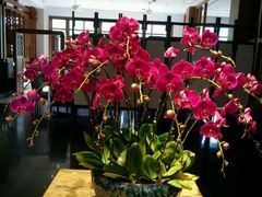 android_upload_pic-黔蘑菇四季餐厅(观山湖店)