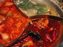 -辣伍鲜毛肚老火锅(元一店)