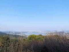 -香雪海