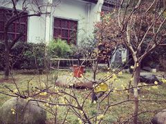 -不倒翁·徽天下名菜楼(马鞍山路店)