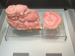 -安徽省地质博物馆